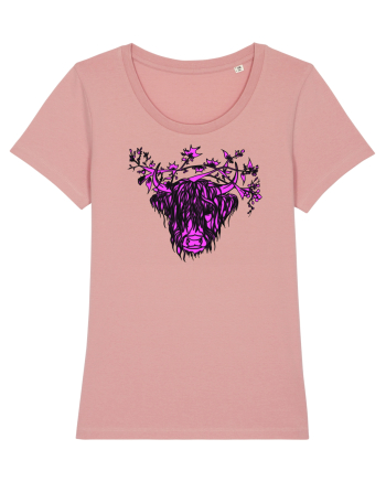 Zimbru Canyon Pink