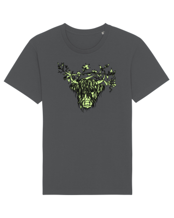 zimbru verde Anthracite
