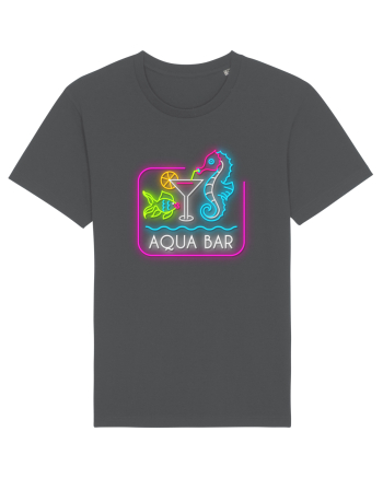 Distracție la piscină Anthracite