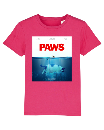 PAWS Raspberry