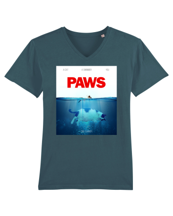 PAWS Stargazer