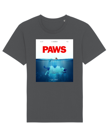 PAWS Anthracite