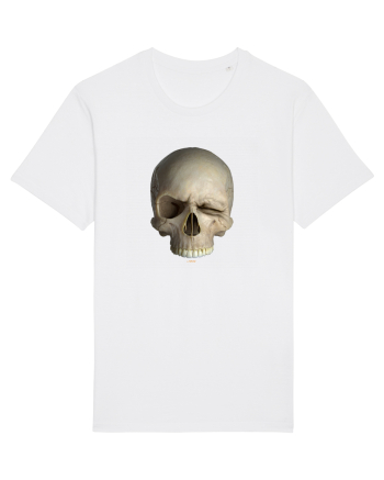 Craniu SKULLWINK SKULL WINK 01a White