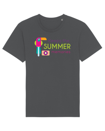 Amintiri de vacanță Anthracite
