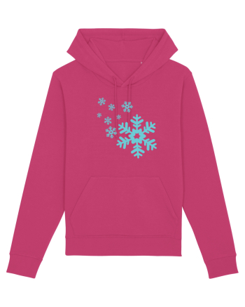 Christmas  Raspberry
