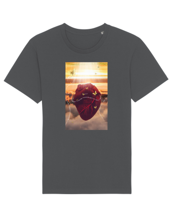 Heart  Anthracite