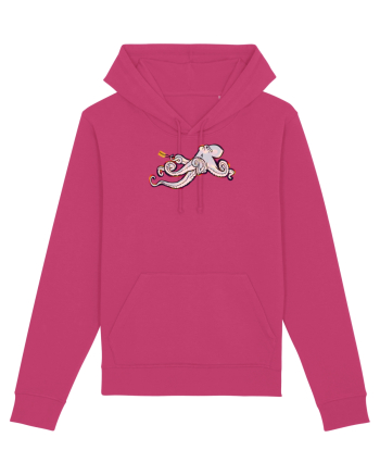 Octopus Raspberry