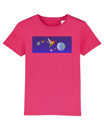 Space Anomaly Raspberry