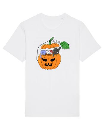 Cute halloween cats White