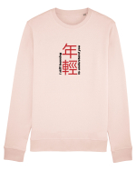 I still learning to understand you Bluză mânecă lungă Unisex Rise
