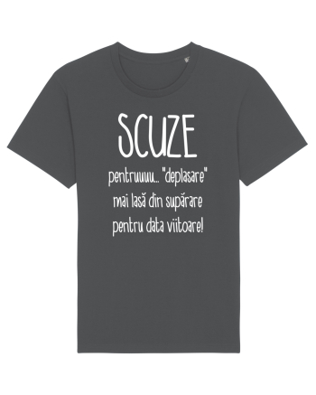 Tricou de scuze pentru recidivisti Anthracite