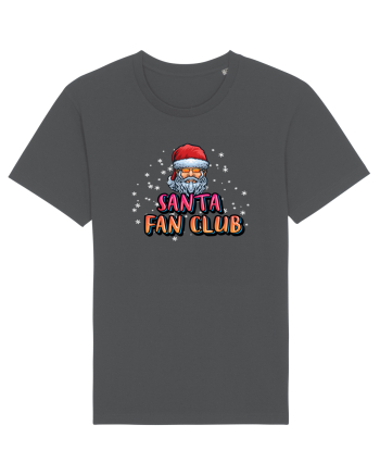 Santa Fan Club Anthracite