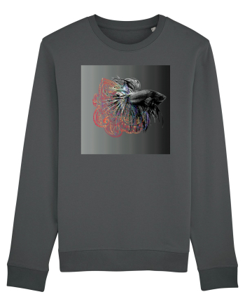 Betta  Anthracite