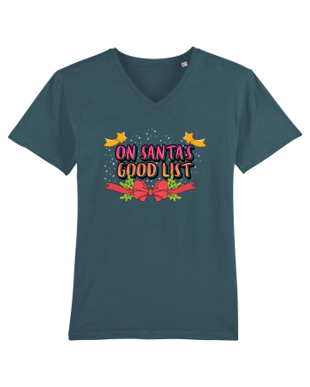 On Santa's Good List Stargazer