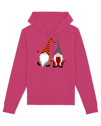 Elfi Raspberry