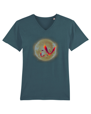 Pheonix Stargazer