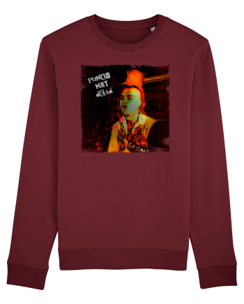 the exploited- punks not dead Burgundy