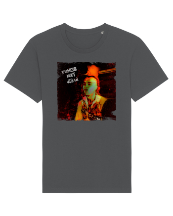 the exploited- punks not dead Anthracite