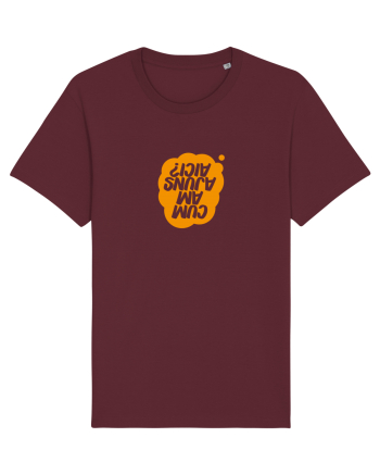 Cum am ajuns aici? Burgundy