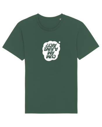 Cum am ajuns aici? Bottle Green