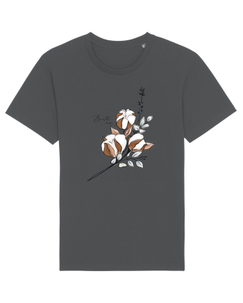 cotton Anthracite
