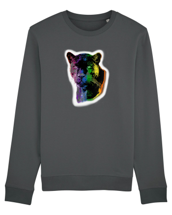 RGB Panther Anthracite