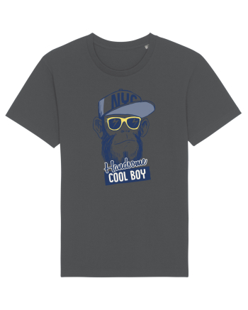 Cool Boy Monkey Anthracite