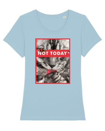 Not Today Cat Sky Blue