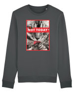 Not Today Cat Bluză mânecă lungă Unisex Rise