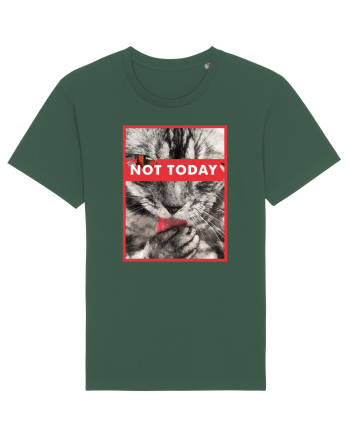 Not Today Cat Bottle Green