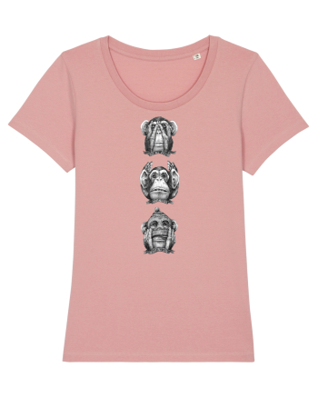 Resist Evil Monkeys Canyon Pink