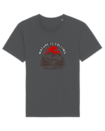Nature is Calling Anthracite