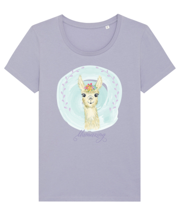 Lama Lavender