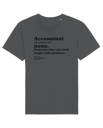 Accountant Noun Anthracite
