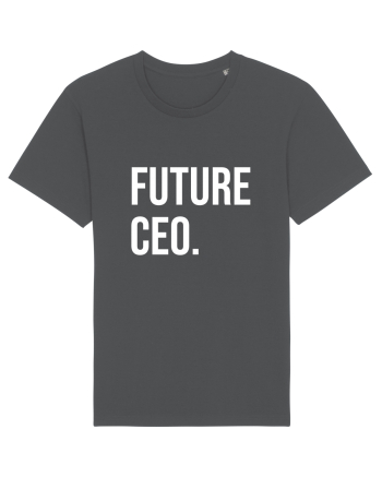Future CEO Anthracite