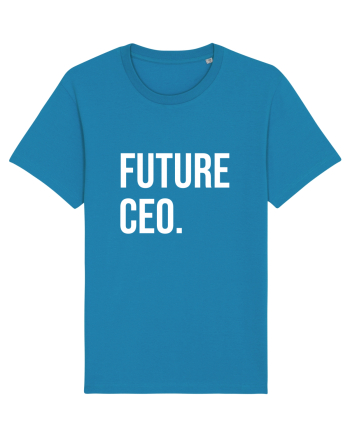 Future CEO Azur