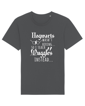 Hogwarts Teacher Anthracite