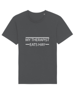 My Therapist Tricou mânecă scurtă Unisex Rocker