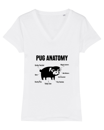 Pug Anatomy White