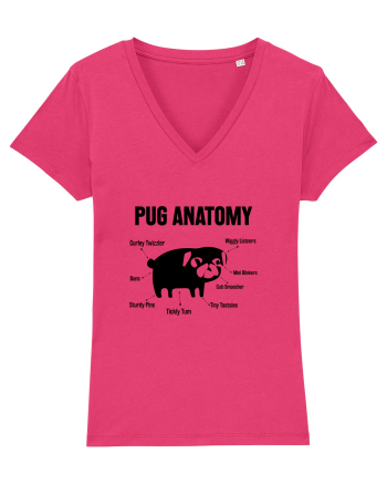 Pug Anatomy Raspberry