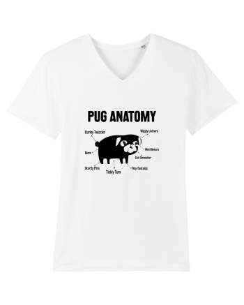 Pug Anatomy White