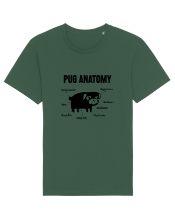Pug Anatomy Bottle Green