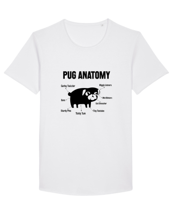Pug Anatomy White