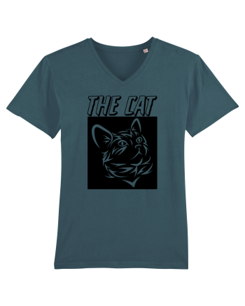 The Cat Stargazer