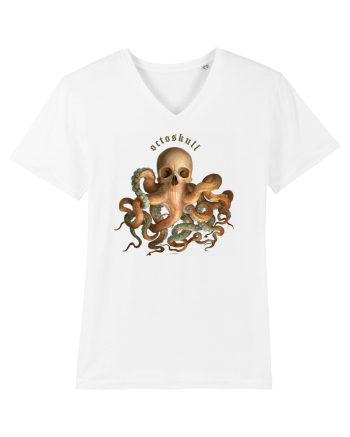 OctoSkull - octopus + skull - caracatita craniu White