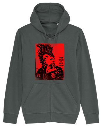 punks not dead Anthracite