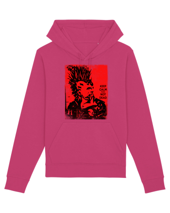 punks not dead Raspberry