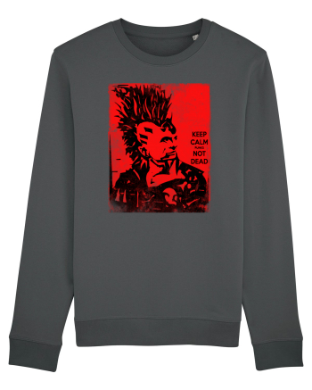 punks not dead Anthracite