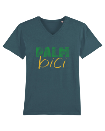 Palm bici Stargazer