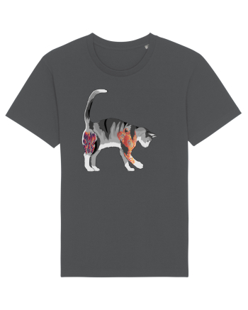 Tattooed Cat 2 Anthracite